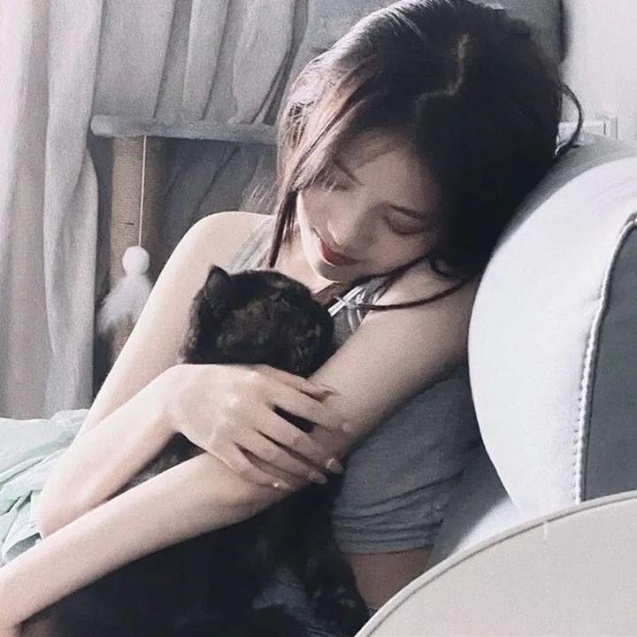 危鸡总动员